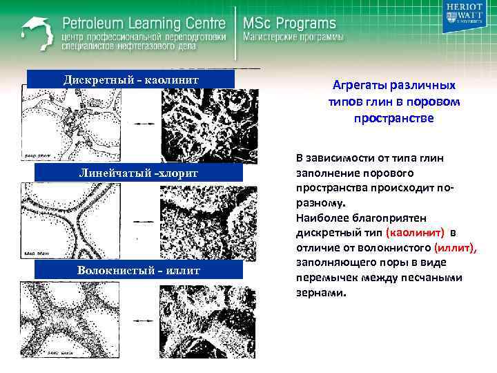 Дискретный - каолинит Линейчатый -хлорит Волокнистый - иллит Агрегаты различных типов глин в поровом