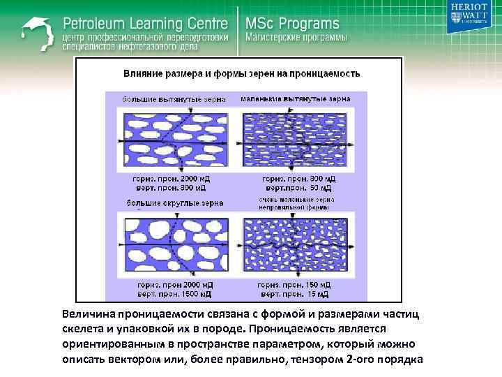 Величина проницаемости связана с формой и размерами частиц скелета и упаковкой их в породе.