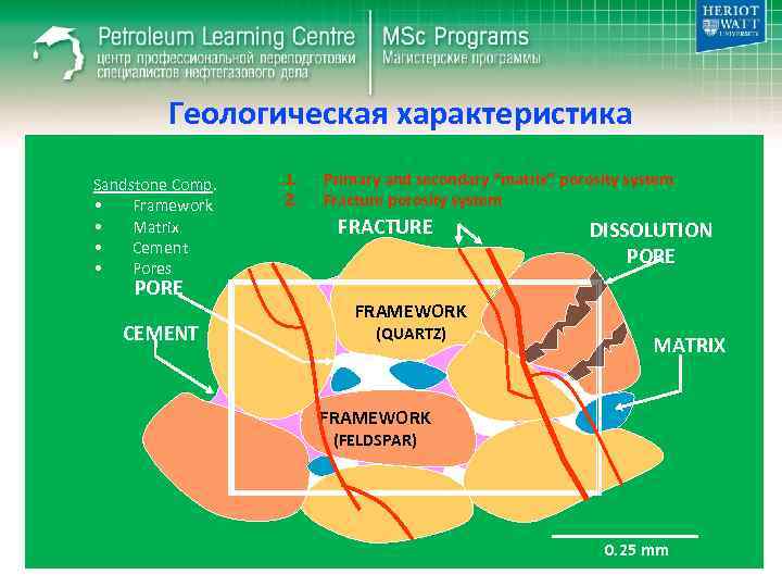 Геологическая характеристика Sandstone Comp. • Framework • Matrix • Cement • Pores PORE CEMENT