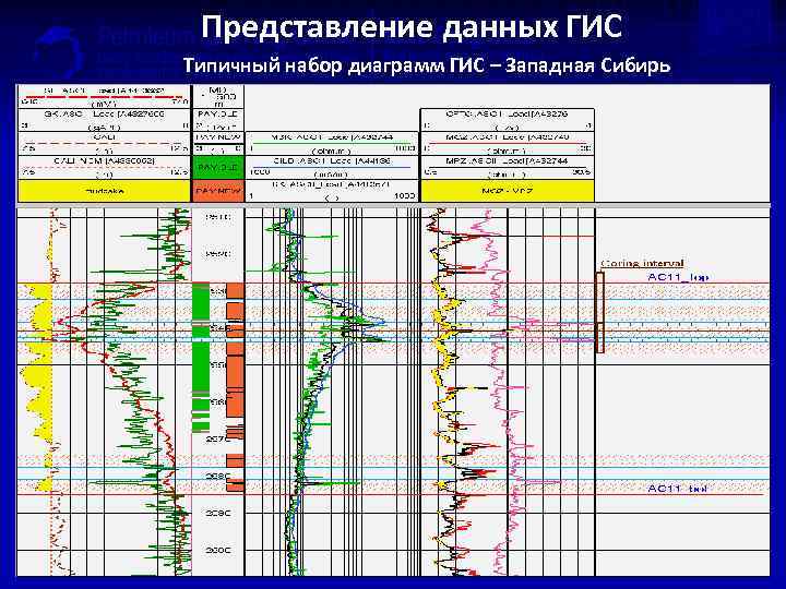 Представление данных ГИС Типичный набор диаграмм ГИС – Западная Сибирь 