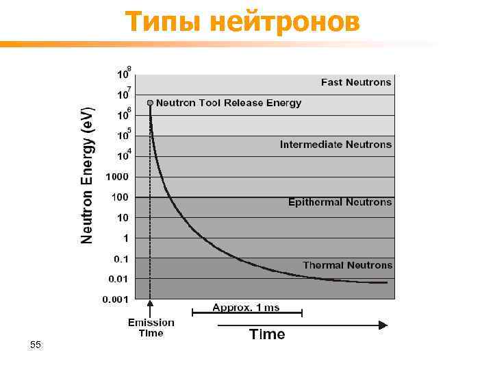 Типы нейтронов 55 