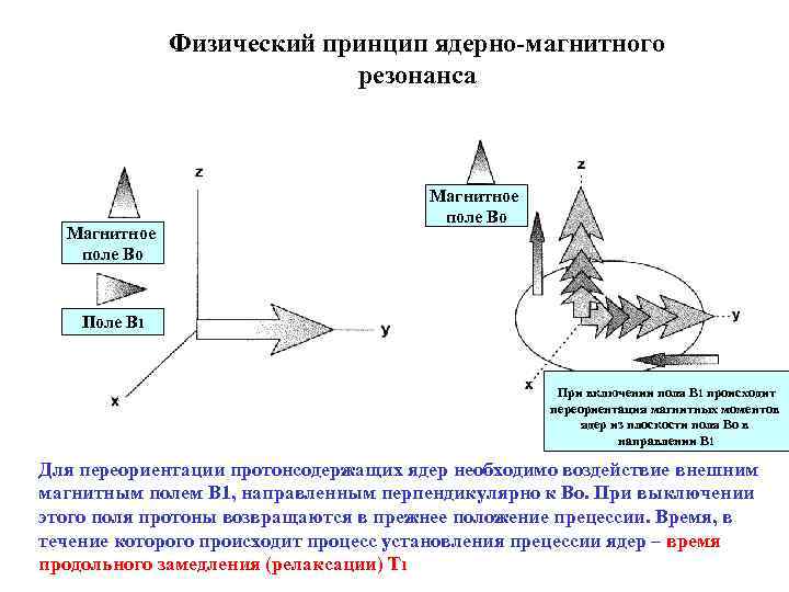 Физический принцип ядерно-магнитного резонанса Магнитное поле Во Поле В 1 При включении поля В