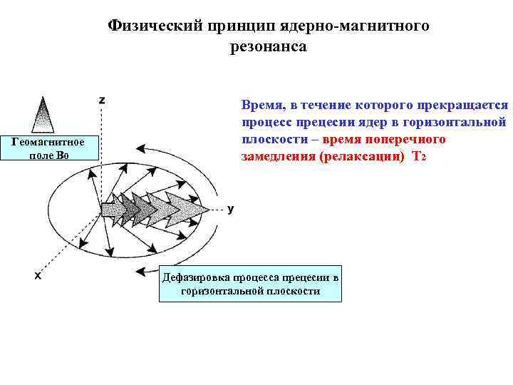 Физический принцип ядерно-магнитного резонанса Геомагнитное поле Во Время, в течение которого прекращается процесс прецесии