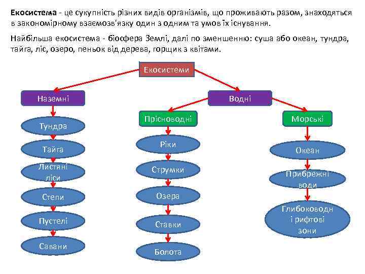 Екосистема - це сукупність різних видів організмів, що проживають разом, знаходяться в закономірному взаємозв'язку