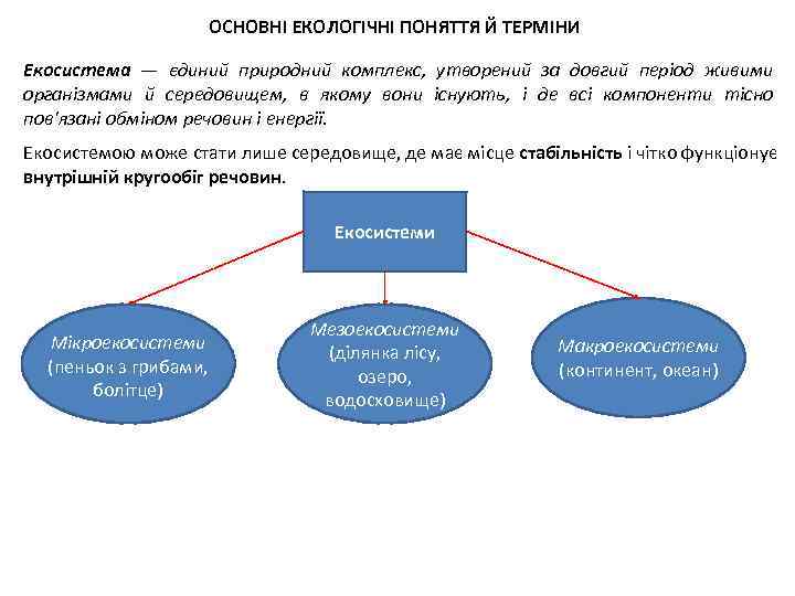 ОСНОВНІ ЕКОЛОГІЧНІ ПОНЯТТЯ Й ТЕРМІНИ Екосистема — єдиний природний комплекс, утворений за довгий період