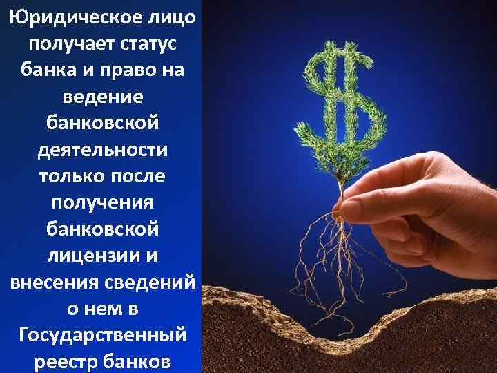 Юридическое лицо получает статус банка и право на ведение банковской деятельности только после получения