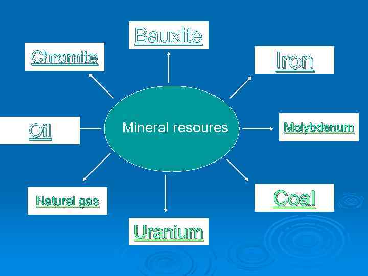 Bauxite Iron Chromite Oil Mineral resoures Molybdenum Coal Natural gas Uranium 