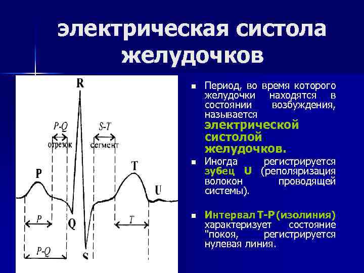 электрическая систола желудочков n Период, во время которого желудочки находятся в состоянии возбуждения, называется