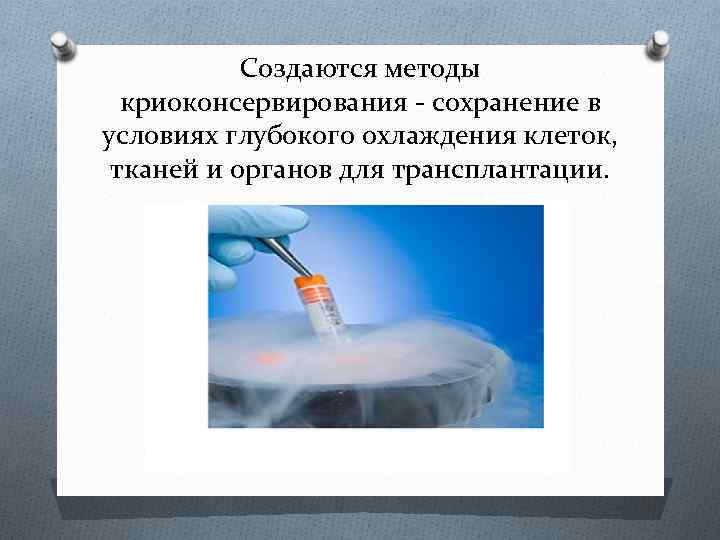 Создаются методы криоконсервирования - сохранение в условиях глубокого охлаждения клеток, тканей и органов для