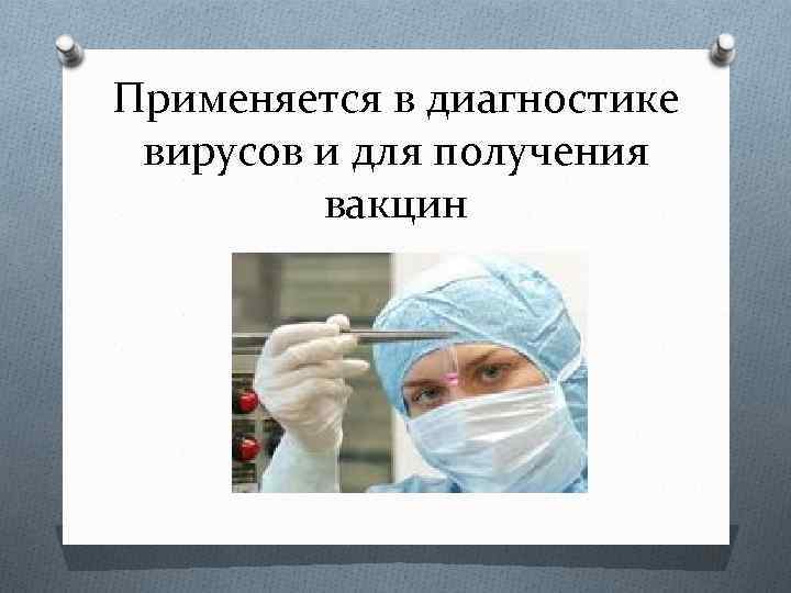 Применяется в диагностике вирусов и для получения вакцин 