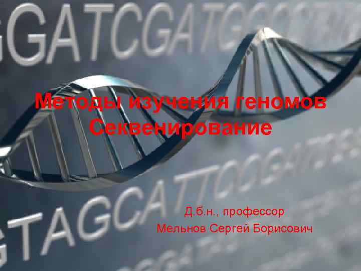 Методы изучения геномов Секвенирование Д. б. н. , профессор Мельнов Сергей Борисович 