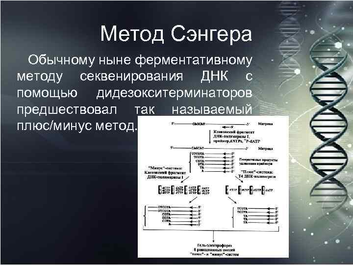 Метод Сэнгера Обычному ныне ферментативному методу секвенирования ДНК с помощью дидезокситерминаторов предшествовал так называемый