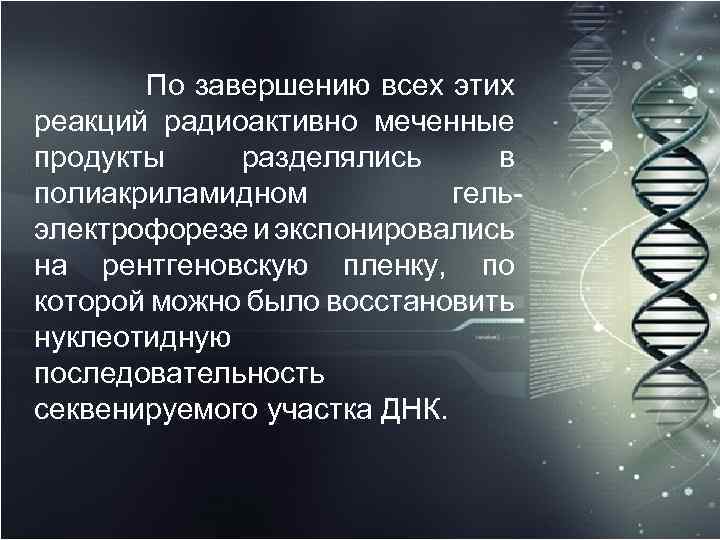  По завершению всех этих реакций радиоактивно меченные продукты разделялись в полиакриламидном гель электрофорезе