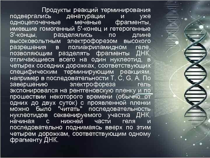  Продукты реакций терминирования подвергались денатурации и уже одноцепочечные меченые фрагменты, имевшие гомогенный 5'