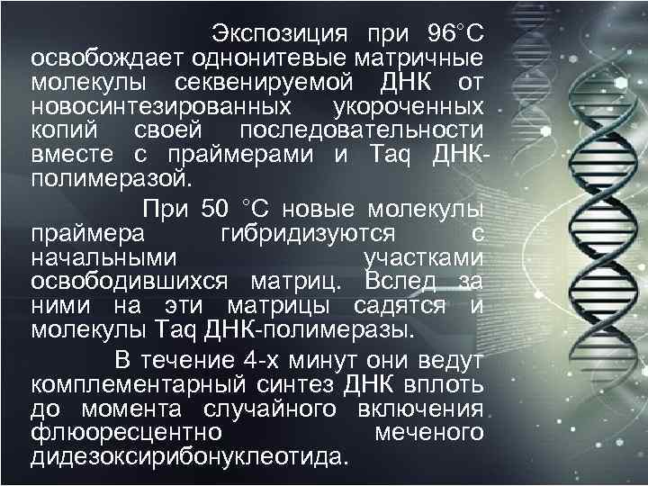  Экспозиция при 96°С освобождает однонитевые матричные молекулы секвенируемой ДНК от новосинтезированных укороченных копий