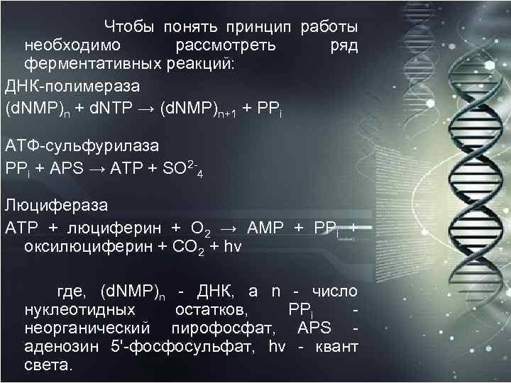  Чтобы понять принцип работы необходимо рассмотреть ряд ферментативных реакций: ДНК полимераза (d. NMP)n