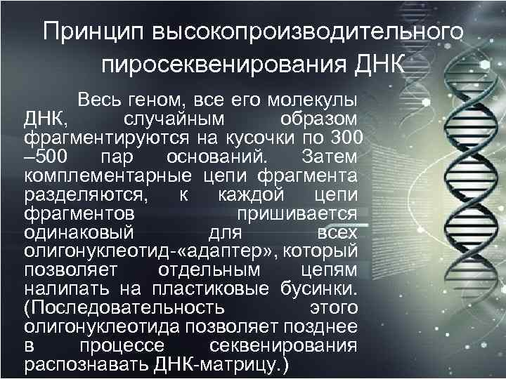 Принцип высокопроизводительного пиросеквенирования ДНК Весь геном, все его молекулы ДНК, случайным образом фрагментируются на