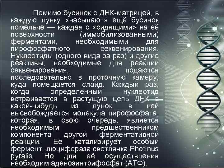  Помимо бусинок с ДНК матрицей, в каждую лунку «насыпают» ещё бусинок помельче —