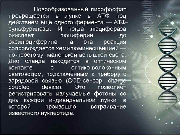  Новообразованный пирофосфат превращается в лунке в АТФ под действием ещё одного фермента —