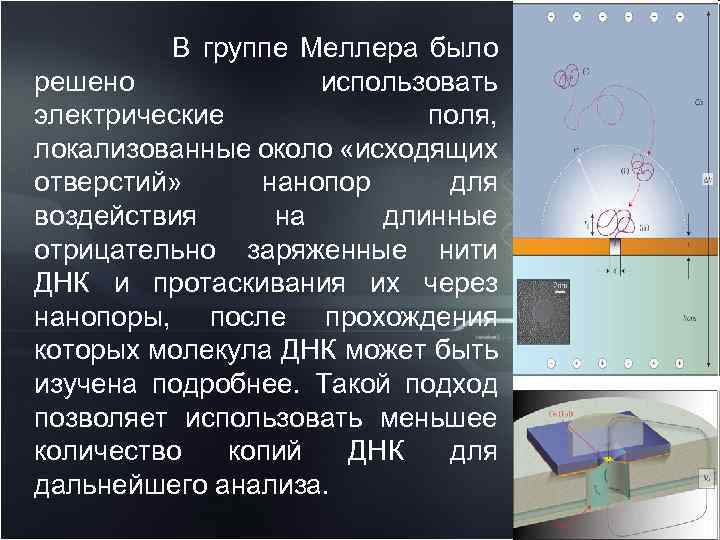  В группе Меллера было решено использовать электрические поля, локализованные около «исходящих отверстий» нанопор