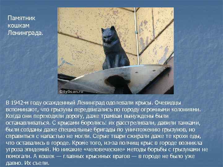 Памятник кошкам Ленинграда. В 1942 -м году осажденный Ленинград одолевали крысы. Очевидцы вспоминают, что