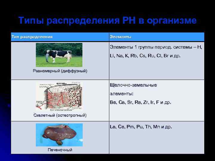 Типы распределения РН в организме Тип распределения Элементы 1 группы период. системы – Н,