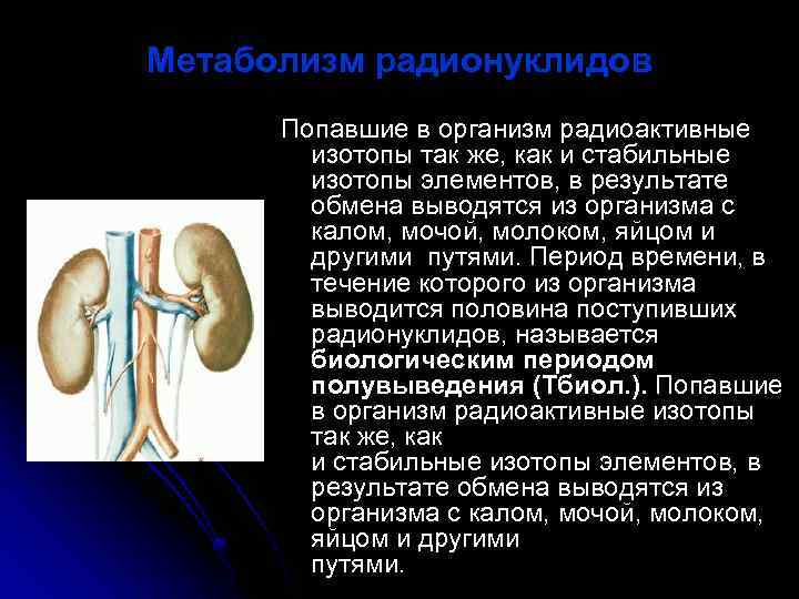 Изотоп почек. Почки поражают радиоактивные изотопы. Изотопы в организме человека. Пути выведения радионуклидов из организма. Радионуклиды как попадают в организм.