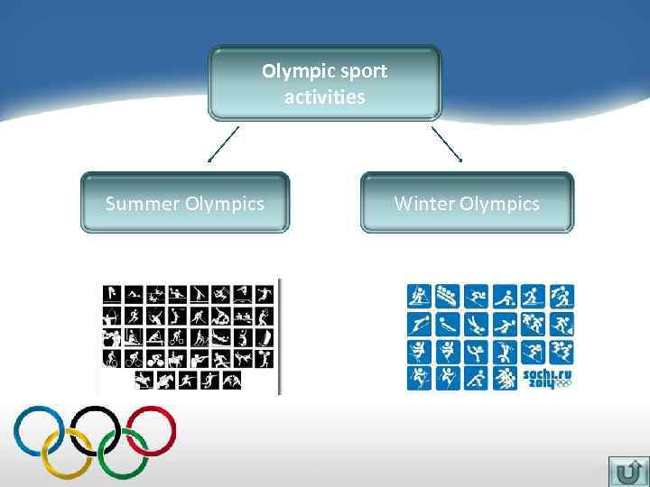 Olympic sport activities Summer Olympics Winter Olympics 