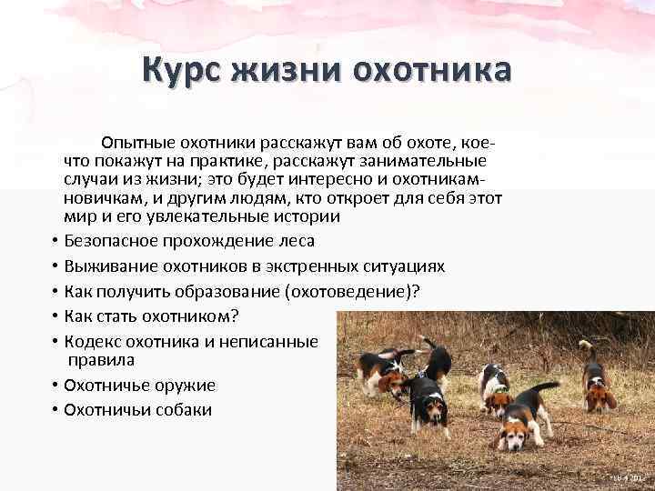 Курс жизни охотника Опытные охотники расскажут вам об охоте, коечто покажут на практике, расскажут