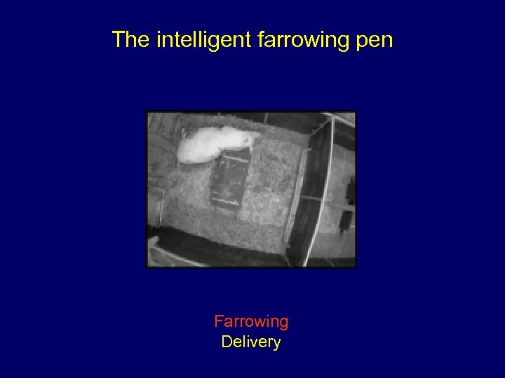 The intelligent farrowing pen Farrowing Delivery 