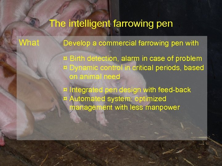 The intelligent farrowing pen What Develop a commercial farrowing pen with ¤ Birth detection,