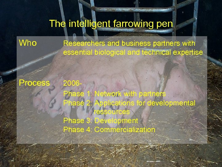 The intelligent farrowing pen Who Researchers and business partners with essential biological and technical