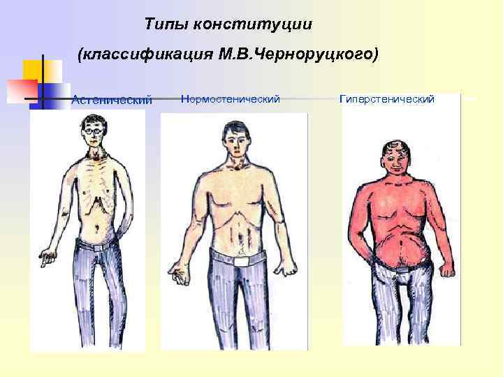 Типы конституции (классификация М. В. Черноруцкого) Астенический Нормостенический Гиперстенический 
