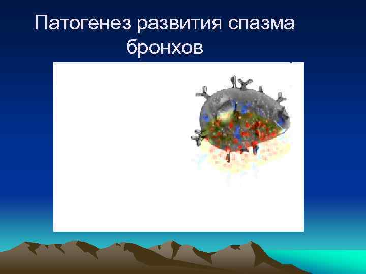 Патогенез развития спазма бронхов 