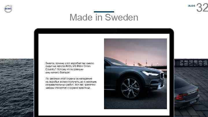 SLIDE Made in Sweden Знаете, почему этот воробей так смело сидит на капоте #VOLVO