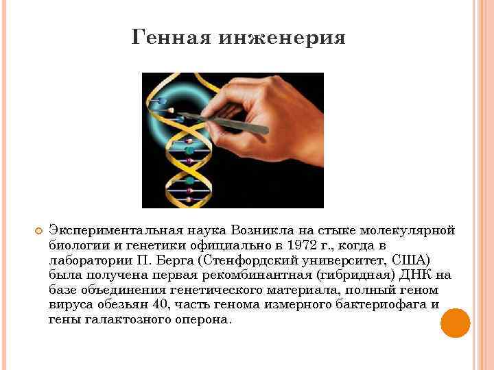 Генная инженерия Экспериментальная наука Возникла на стыке молекулярной биологии и генетики официально в 1972