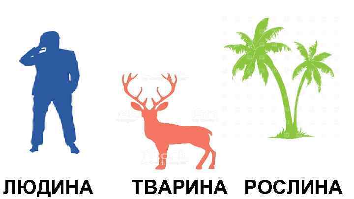 ЛЮДИНА ТВАРИНА РОСЛИНА 
