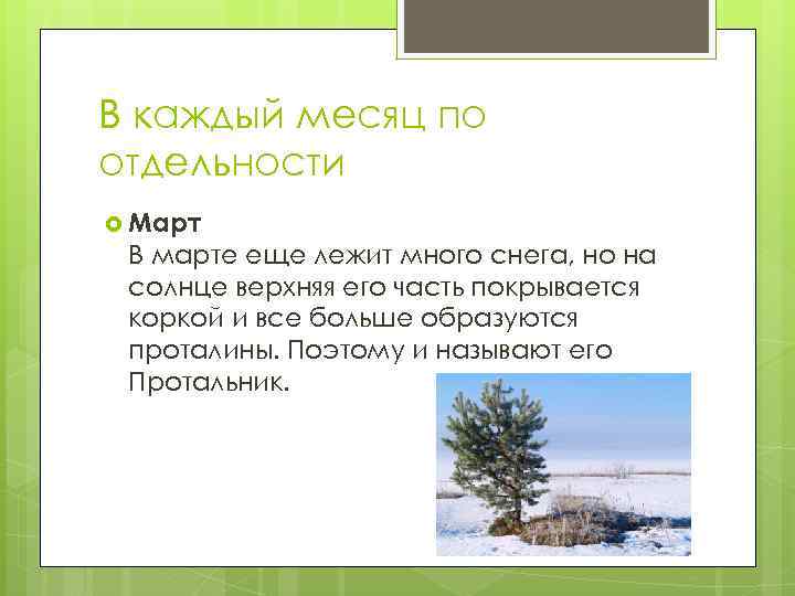 В каждый месяц по отдельности Март В марте еще лежит много снега, но на