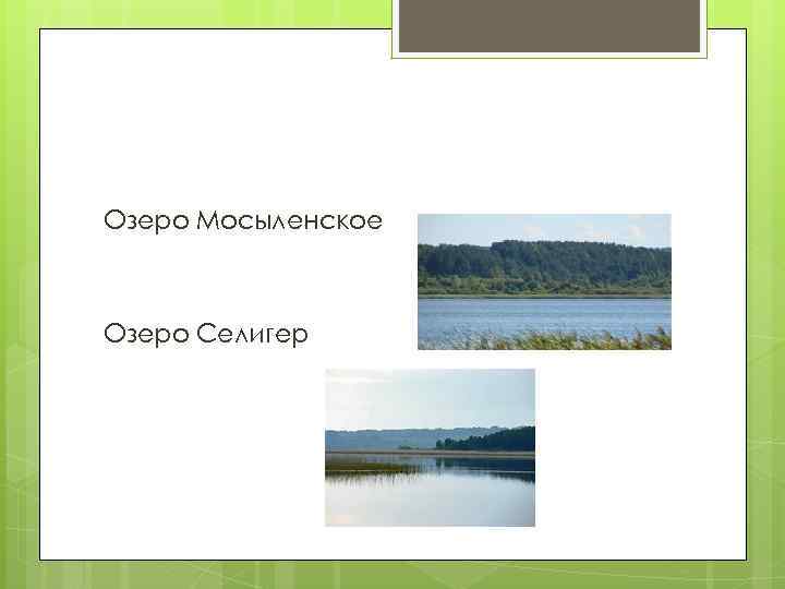 Озеро Мосыленское Озеро Селигер 