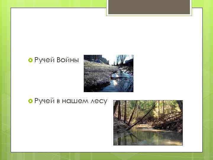 Ручей Войны Ручей в нашем лесу 