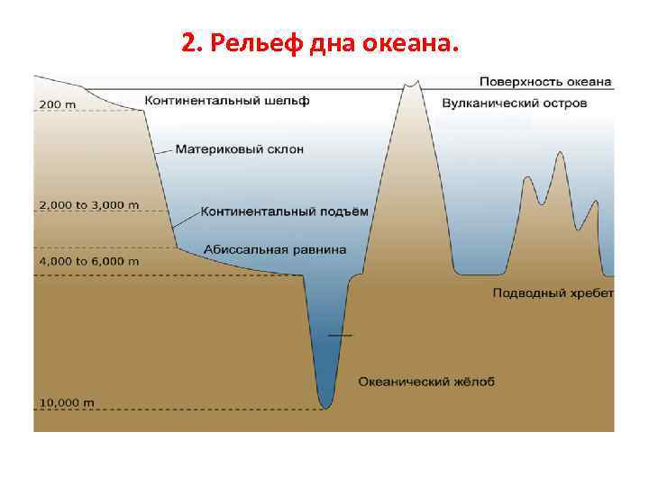 2. Рельеф дна океана. 