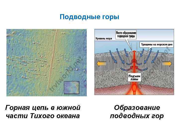 Подводные горы Горная цепь в южной части Тихого океана Образование подводных гор 