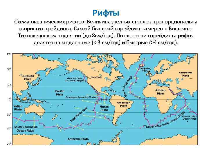 Рифты Схема океанических рифтов. Величина желтых стрелок пропорциональна скорости спрейдинга. Самый быстрый спрейдинг замерен