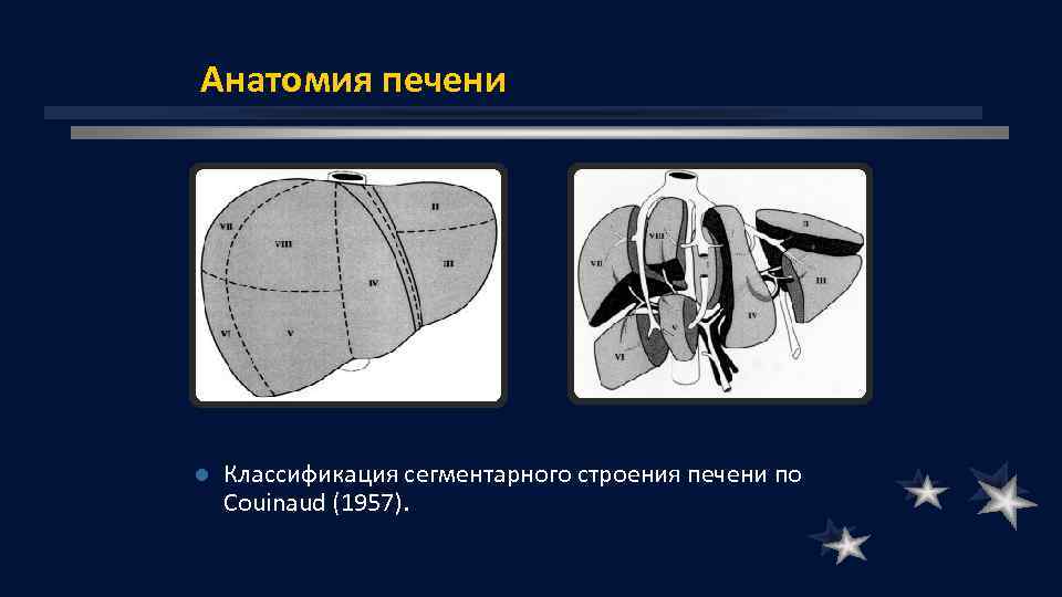 Анатомия печени l Классификация сегментарного строения печени по Couinaud (1957). 