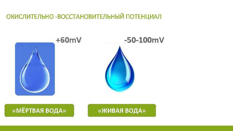 ОКИСЛИТЕЛЬНО -ВОССТАНОВИТЕЛЬНЫЙ ПОТЕНЦИАЛ +60 m. V «МЁРТВАЯ ВОДА» -50 -100 m. V «ЖИВАЯ ВОДА»