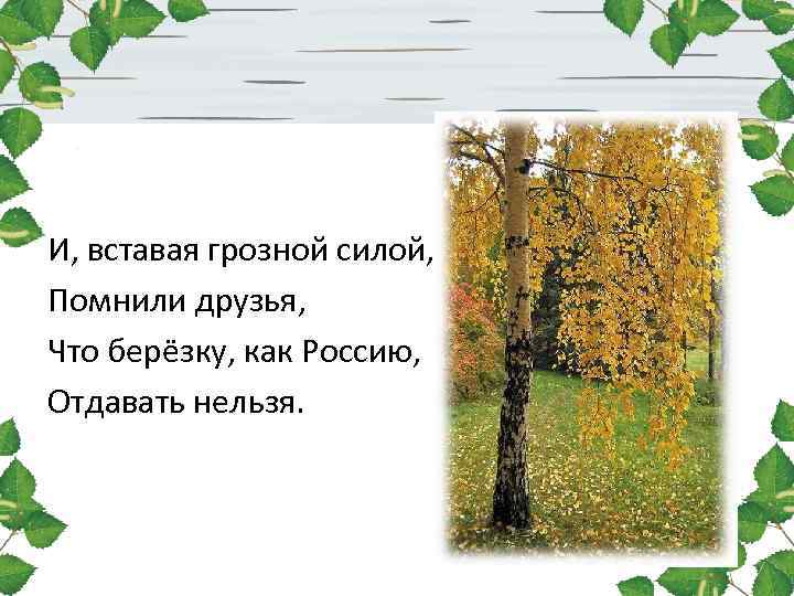 И, вставая грозной силой, Помнили друзья, Что берёзку, как Россию, Отдавать нельзя. 