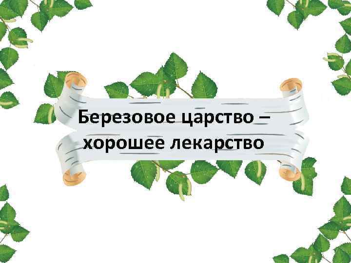 Березовое царство – хорошее лекарство 