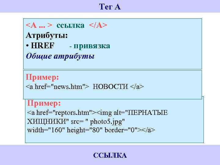 Тег A <A. . . > ссылка </A> Атрибуты: • HREF - привязка Общие