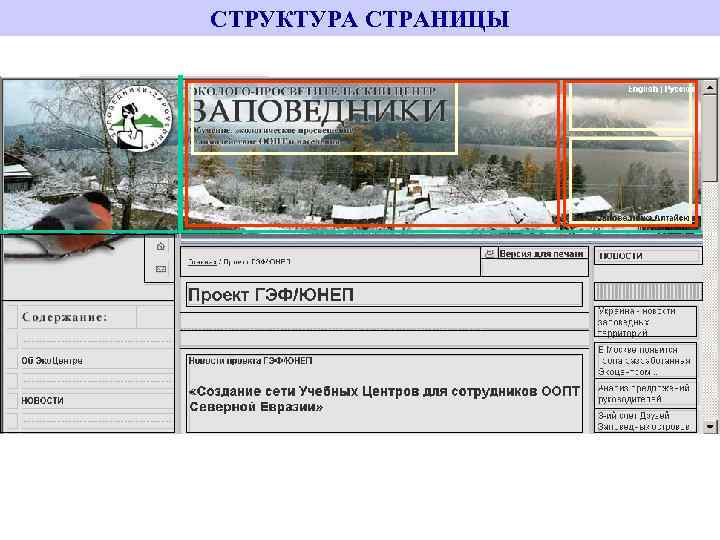 СТРУКТУРА СТРАНИЦЫ 