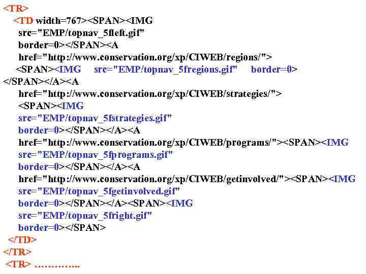 <TR> <TD width=767><SPAN><IMG src="EMP/topnav_5 fleft. gif" border=0></SPAN><A href="http: //www. conservation. org/xp/CIWEB/regions/"> <SPAN><IMG src="EMP/topnav_5 fregions.